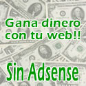 Ganar dinero con mi web